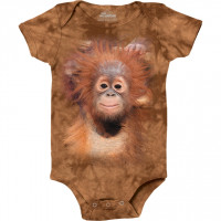 Infant Orangutan Hanging Baby grow